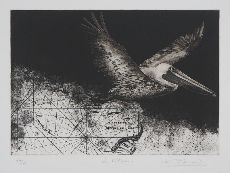 Isabelle PANAUD : Le Pélican - Gravure