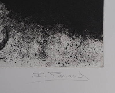 Isabelle PANAUD : Le Pélican - Gravure (détail)
