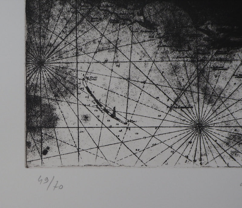 Isabelle PANAUD : Le Pélican - Gravure (détail)
