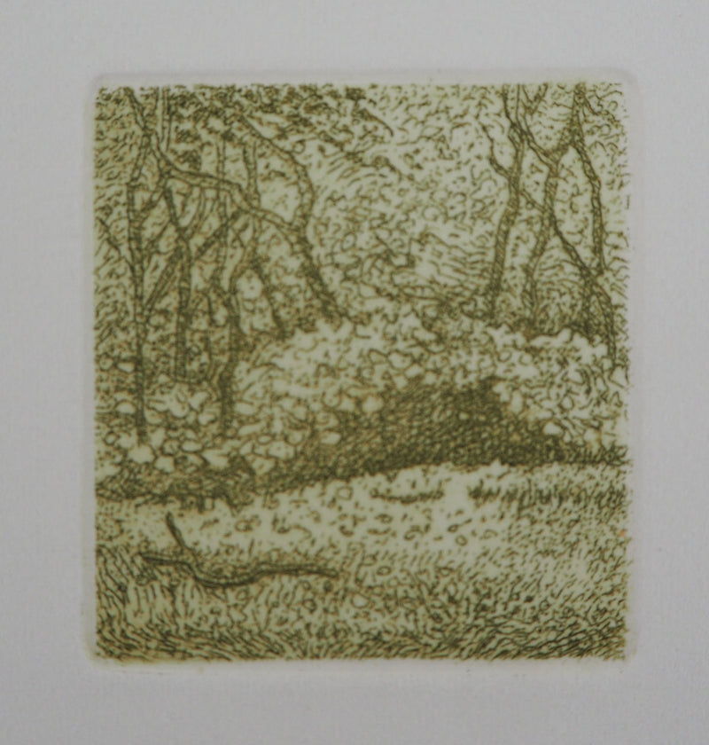 Michel PARADIS : Champs de verdure - Gravure (détail)