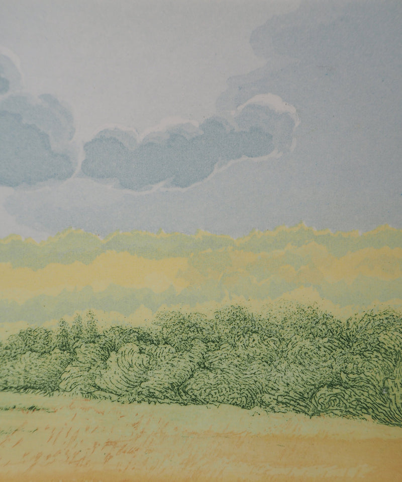 Michel PARADIS : Champs de verdure - Gravure (détail)