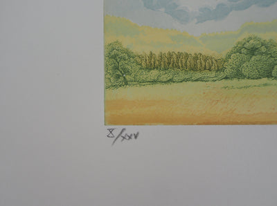 Michel PARADIS : Champs de verdure - Gravure (détail)