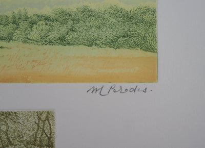 Michel PARADIS : Champs de verdure - Gravure (détail)
