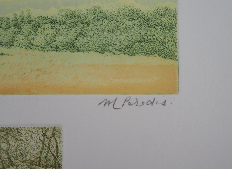 Michel PARADIS : Champs de verdure - Gravure (détail)