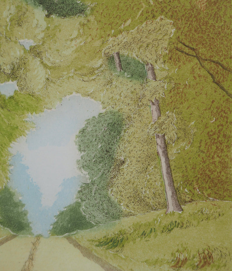Michel PARADIS : Le chemin - Gravure (détail)