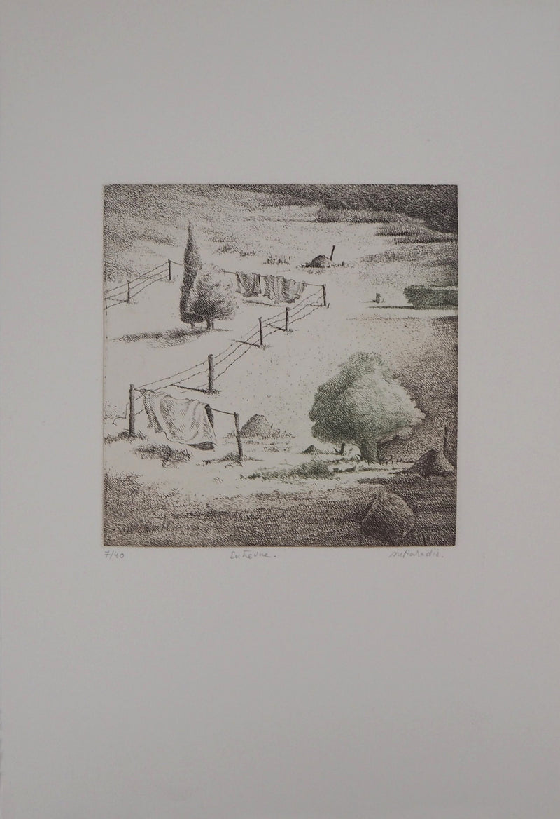 Michel PARADIS : Entrevue - Gravure (détail)