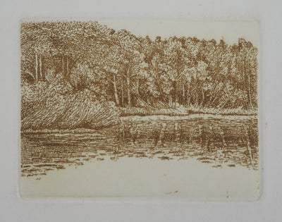 Michel PARADIS : L'étang - Gravure (détail)