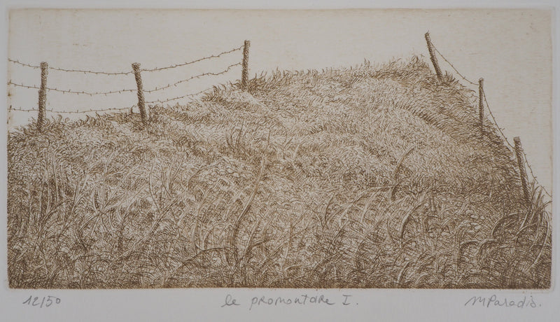Michel PARADIS : La promenade - Gravure
