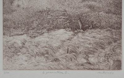 Michel PARADIS : Le Promontoire II - Gravure (détail)