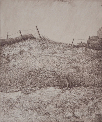 Michel PARADIS : Le Promontoire II - Gravure (détail)