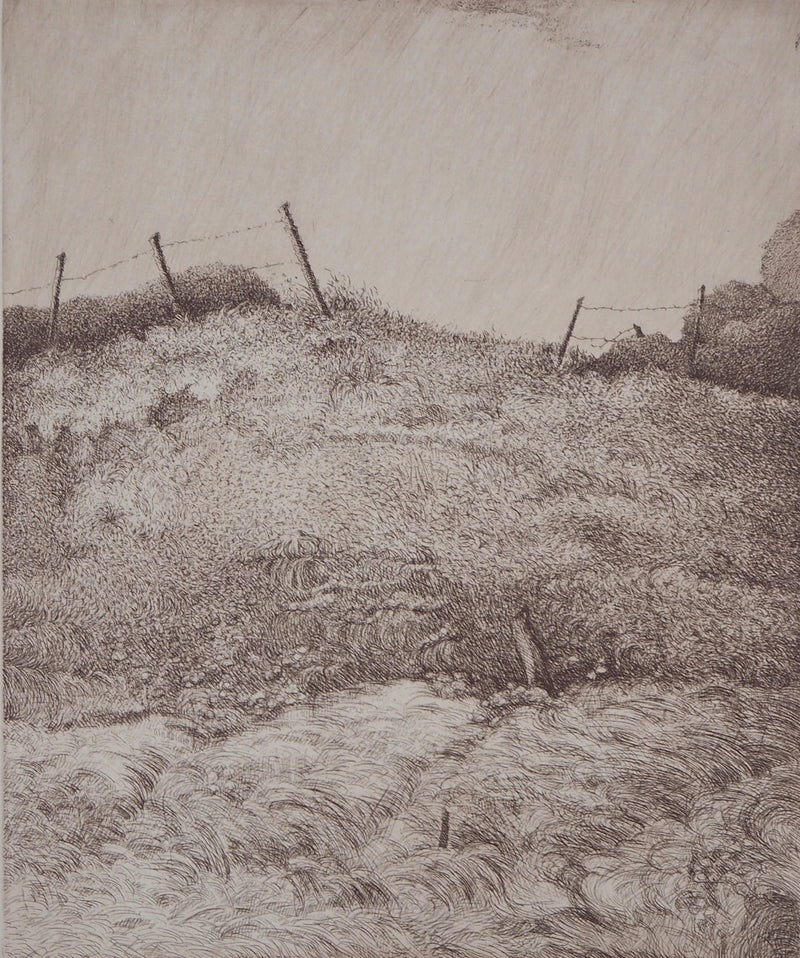 Michel PARADIS : Le Promontoire II - Gravure (détail)