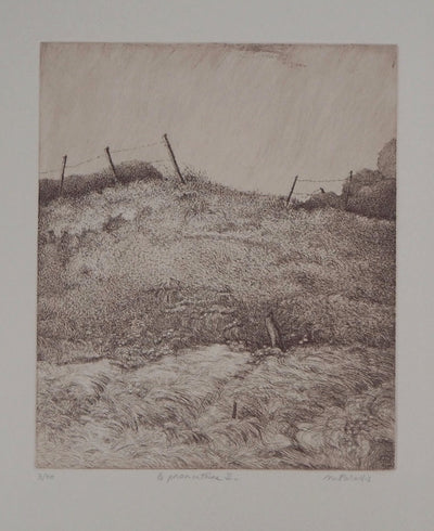 Michel PARADIS : Le Promontoire II - Gravure (détail)