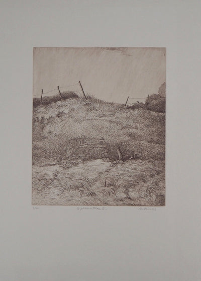 Michel PARADIS : Le Promontoire II - Gravure (détail)