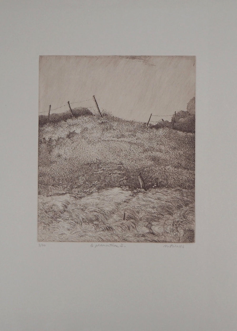 Michel PARADIS : Le Promontoire II - Gravure (détail)