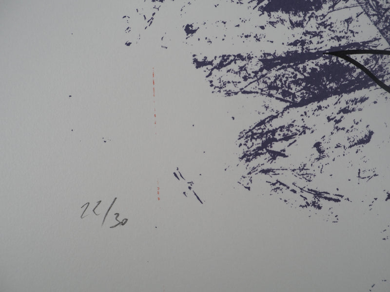 Georges PATITUCCI : Paysage sensuel, 1980 - Sérigraphie (détail)