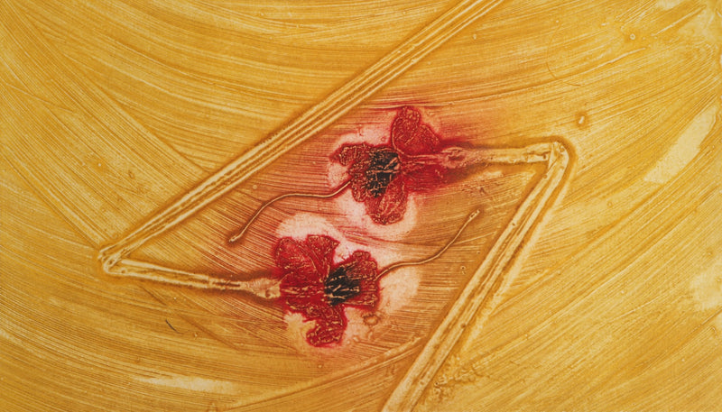 Milan PERISIC : Fleurs dormantes - Gravure (détail)