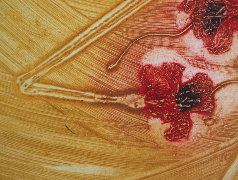 Milan PERISIC : Fleurs dormantes - Gravure (détail)