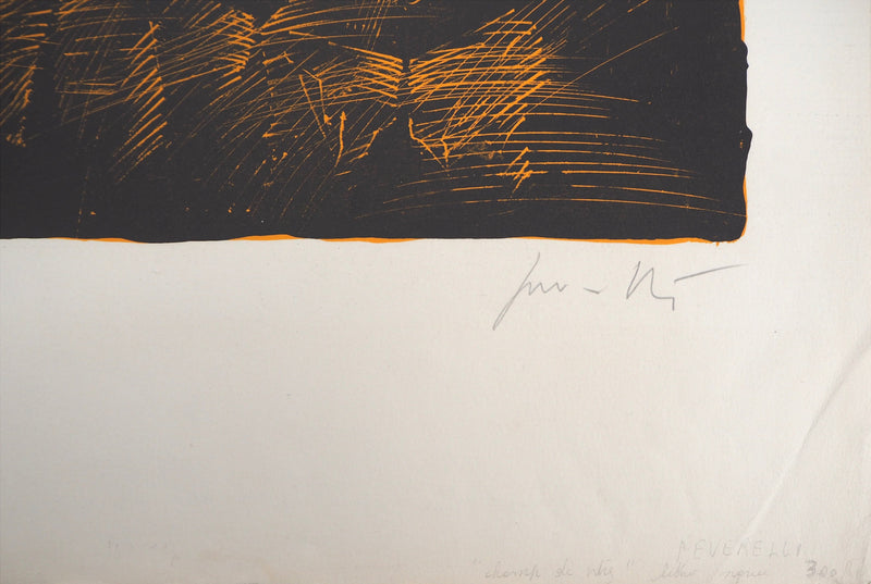 Cesare PEVERELLI : Champs de vitres - Lithographie (détail)