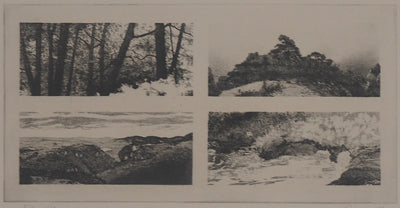 Michel QUERIOZ : Paysage en quatre temps - Gravure