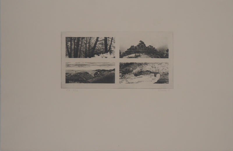 Michel QUERIOZ : Paysage en quatre temps - Gravure (détail)