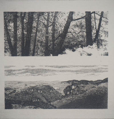 Michel QUERIOZ : Paysage en quatre temps - Gravure (détail)