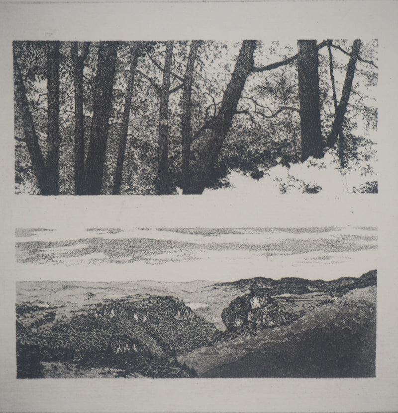 Michel QUERIOZ : Paysage en quatre temps - Gravure (détail)