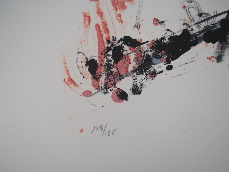 Paul REBEYROLLE : Les Mains : Corbeau saisi en vol, 1970 - Lithographie (détail)