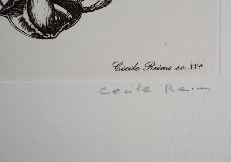 Cécile REIMS : Le chevalier - Gravure (détail)