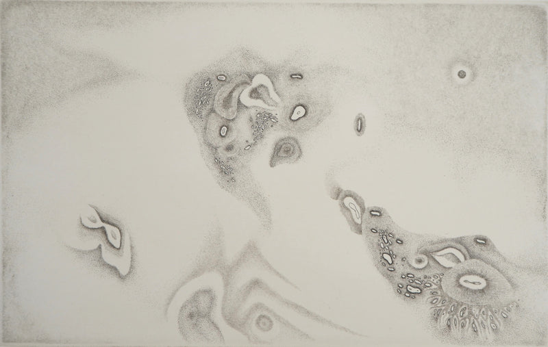 Cecile REIMS : Vie de cosmos - Gravure (détail)