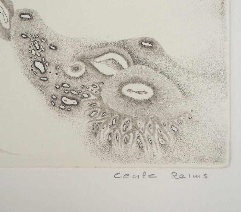 Cecile REIMS : Vie de cosmos - Gravure (détail)