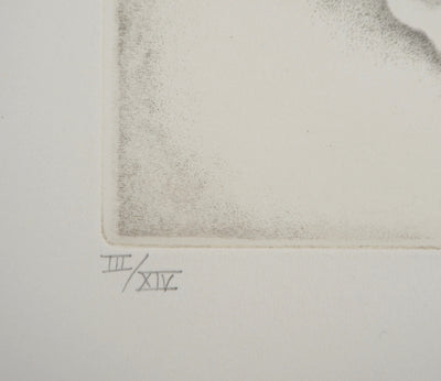 Cecile REIMS : Vie de cosmos - Gravure (détail)
