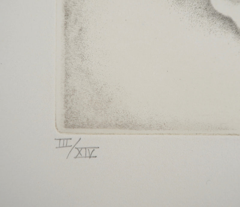 Cecile REIMS : Vie de cosmos - Gravure (détail)