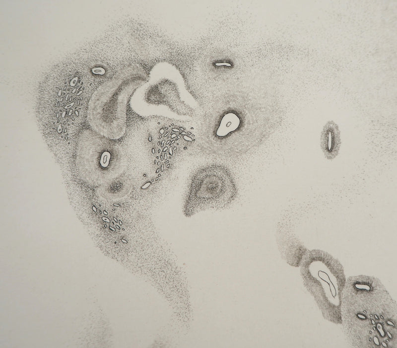 Cecile REIMS : Vie de cosmos - Gravure (détail)