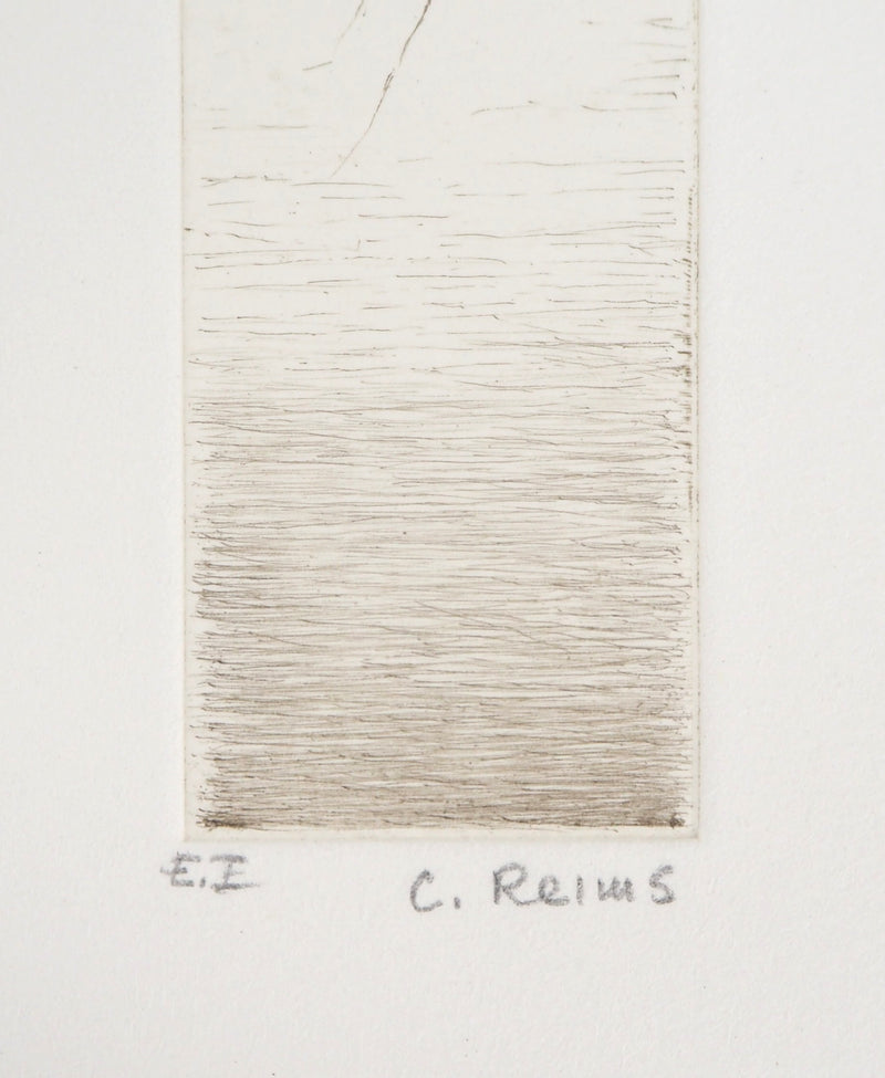 Cecile REIMS : Fleur curieuse, 2003 - Gravure (détail)