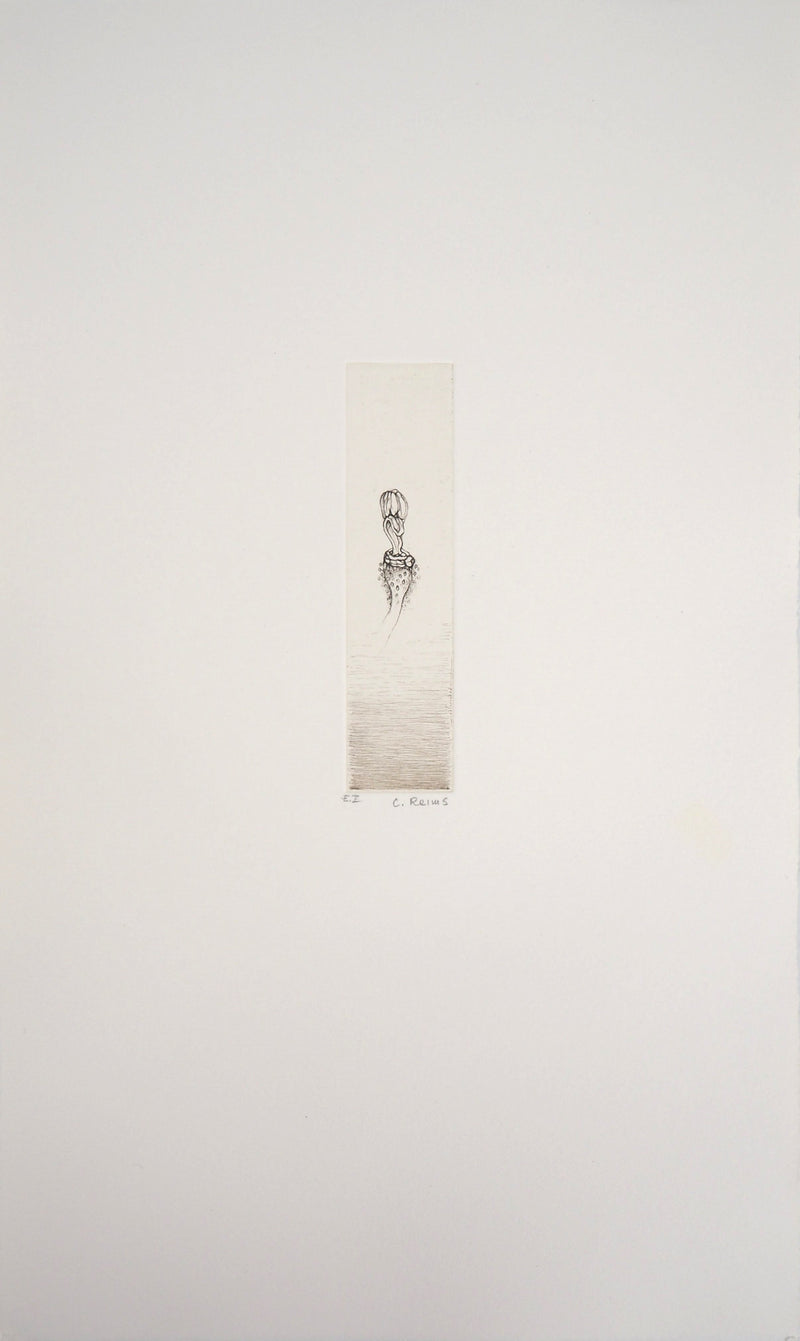Cecile REIMS : Fleur curieuse, 2003 - Gravure (détail)