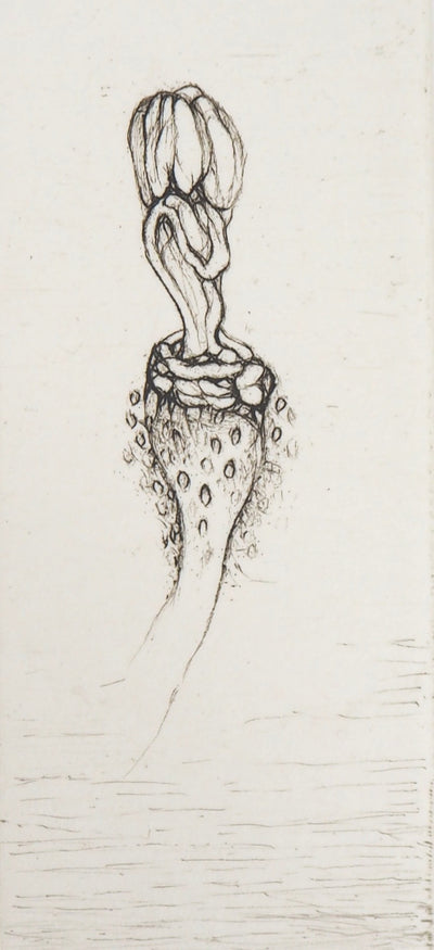 Cecile REIMS : Fleur curieuse, 2003 - Gravure (détail)