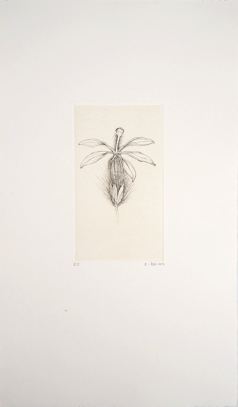 Cecile REIMS : Fleur fleurie, 2003 - Gravure