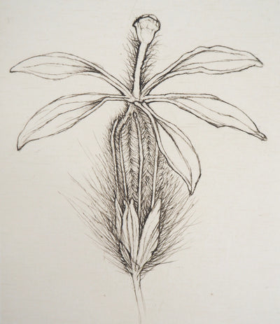Cecile REIMS : Fleur fleurie, 2003 - Gravure (détail)