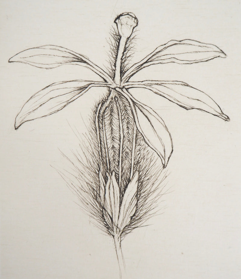 Cecile REIMS : Fleur fleurie, 2003 - Gravure (détail)