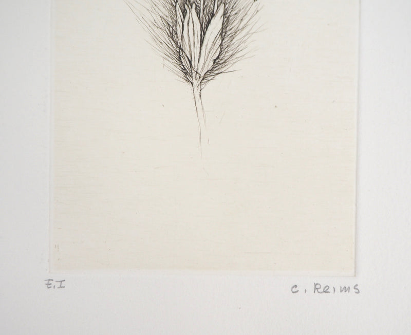 Cecile REIMS : Fleur fleurie, 2003 - Gravure (détail)