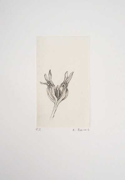 Cecile REIMS : Fleur du matin, 2003 - Gravure