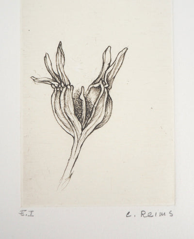 Cecile REIMS : Fleur du matin, 2003 - Gravure (détail)