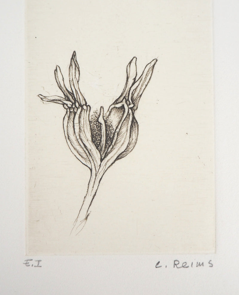 Cecile REIMS : Fleur du matin, 2003 - Gravure (détail)