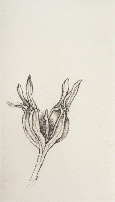 Cecile REIMS : Fleur du matin, 2003 - Gravure (détail)