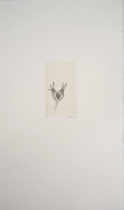 Cecile REIMS : Fleur du matin, 2003 - Gravure (détail)