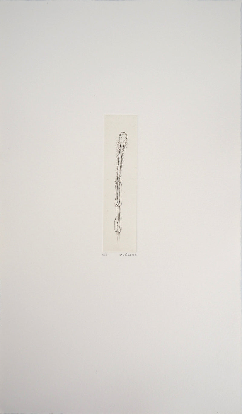 Cecile REIMS : Fleur séductrice, 2003 - Gravure (détail)