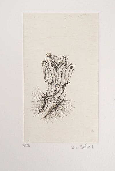 Cecile REIMS : Fleur surréaliste, 2003 - Gravure