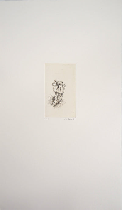 Cecile REIMS : Fleur surréaliste, 2003 - Gravure (détail)