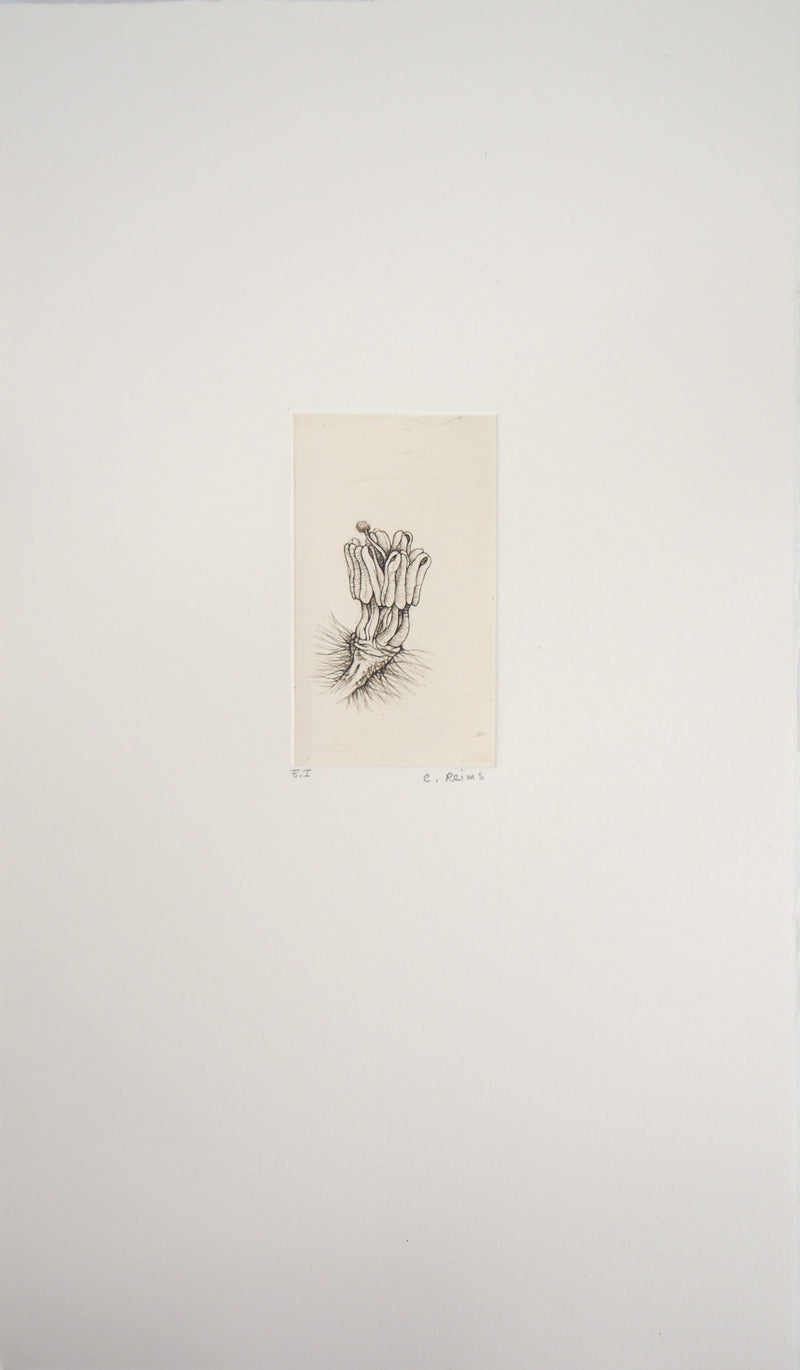 Cecile REIMS : Fleur surréaliste, 2003 - Gravure (détail)