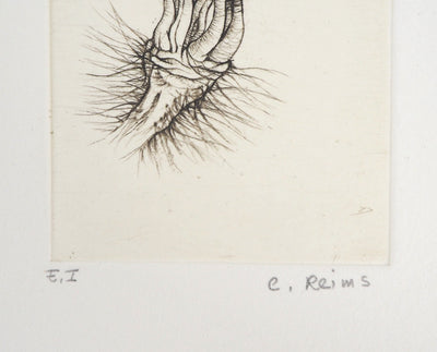 Cecile REIMS : Fleur surréaliste, 2003 - Gravure (détail)
